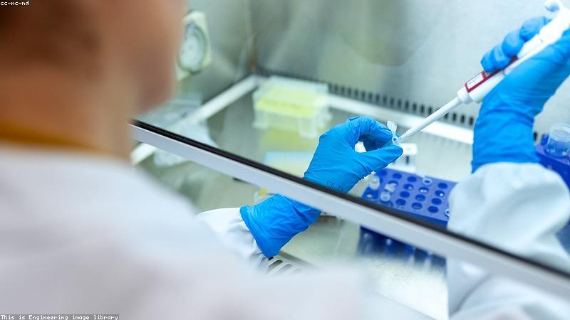 IUI vs IVF: Which Fertility Treatment Is Right for You?